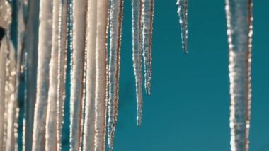 Çatılardan asılı büyük kalın buz sarkıtları Bahar güneşi altında eriyor