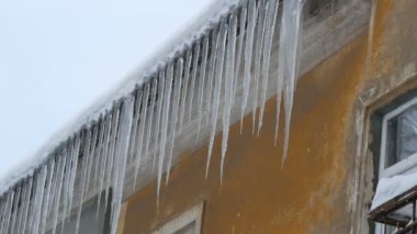 Kışın evin çatısında büyük erime buz sarkıtları çok sayıda