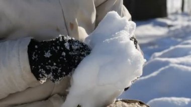 Genç çocuk kar ile oynar, snowballs yapar ve kışın elinde kar atar. Güzel güneşli kış günü