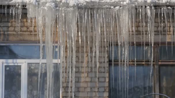 Vecchia e nuova finestra. Un gran numero di grandi ghiaccioli fondenti sul tetto della casa in inverno . — Video Stock