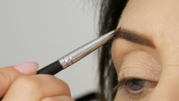 Ein spezieller Pinsel malt Augenbrauen mit Augenbrauenschatten. Nahaufnahme. Professionelle Visagistin schminkt erwachsene Frau mittleren Alters mit schönen blauen Augen. — Stockvideo