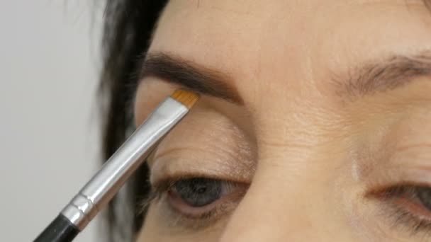 Un pincel especial pinta las cejas con sombras de cejas. Vista cercana. Artista de maquillaje profesional haciendo maquillaje a la mujer adulta de mediana edad con hermosos ojos azules . — Vídeos de Stock