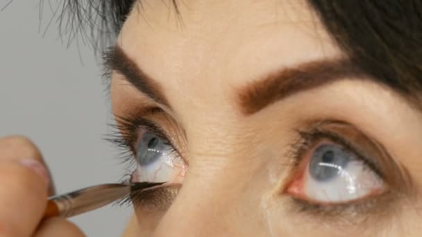 Artista de maquillaje profesional pinta rímel en adulto de mediana edad mujer de cerca — Vídeos de Stock