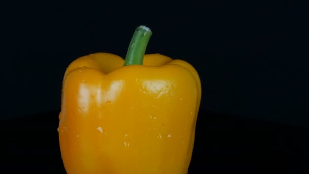 Fresh sweet yellow pepper paprika on black background and mirror surface rotate — Stock Video