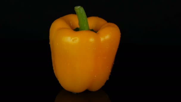 Fresh sweet yellow pepper paprika on black background and mirror surface rotate — Stock Video