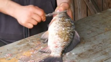 Ahşap masada balık kantarları soyma erkek eller