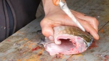 Bir adam sadece canlı büyük balık Balık bir balıkçının keser parçalar halinde yakaladı. Daha fazla yemek pişirmek için tatlı su Balık Temizleme