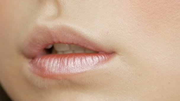 Maquillaje artista hace modelo chica maquillaje. Lápiz labial de color claro aplicado con un cepillo especial en los labios vista de cerca — Vídeo de stock