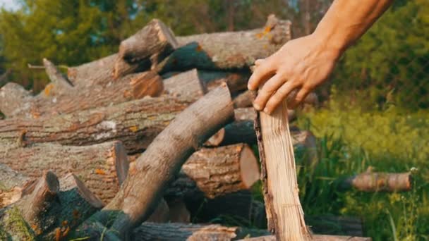 Muž dřevořezník sekal dřevo starou ocelovou sekyrou. Ručně řezané dřevo — Stock video