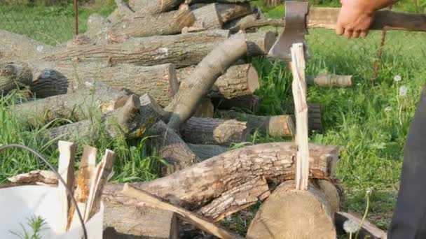Uomo taglialegna tagliare la legna con una vecchia ascia di ferro vintage. Legno tagliato manualmente — Video Stock