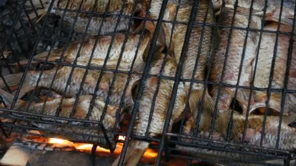 Carpa cruciana de peces de río de agua dulce Carassius frito en el fuego y humo parrilla vista de cerca. Delicioso pescado a la parrilla en el fuego — Vídeo de stock