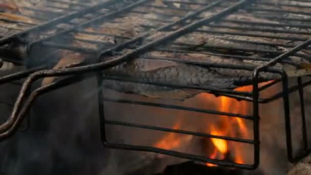 Carpe crucienne de poisson de rivière d'eau douce Carassius frit sur le feu et grill de fumée vue rapprochée. Délicieux poisson grillé sur le feu — Video