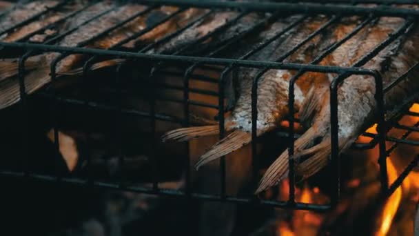 Carpa cruciana de peces de río de agua dulce Carassius frito en el fuego y humo parrilla vista de cerca. Delicioso pescado a la parrilla en el fuego — Vídeos de Stock