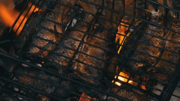 Zoetwaterrivier vis Kroes CARP Carassius gebakken op vuur en rook Grill close-up uitzicht. Heerlijke gegrilde vis op het vuur — Stockvideo