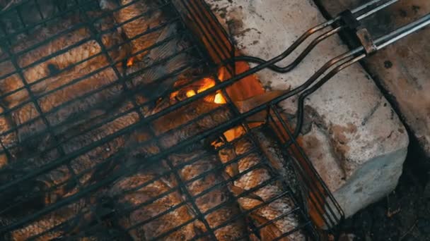 Ikan air tawar ikan ikan ikan crucian ikan carassius goreng di atas api dan asap panggangan dekat melihat. Ikan panggang yang lezat di atas api — Stok Video