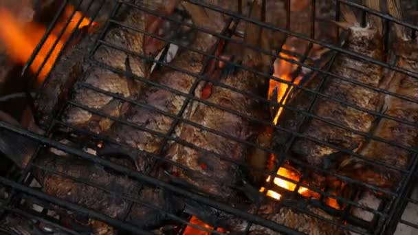 Água doce rio peixe crucian carpa Carassius frito no fogo e fumaça grill vista de perto. Delicioso peixe grelhado no fogo — Vídeo de Stock