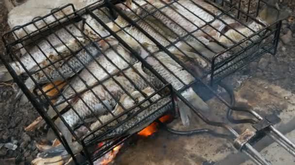 Freshwater river fish crucian carp Carassius fried on fire and smoke grill close up view. Delicious grilled fish on the fire — Stock Footage Freshwater river fish crucian carp Carassius fried on fire and smoke grill close up view. Delicious grilled fish on the fire Video Clip