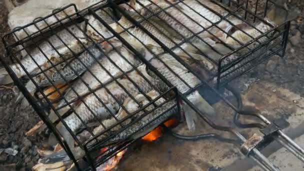 Freshwater river fish crucian carp Carassius fried on fire and smoke grill close up view. Delicious grilled fish on the fire — Stock Video