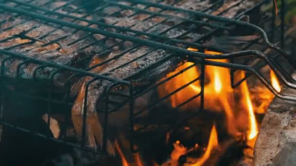 淡水川魚クルシアン鯉カラシウスは、火と煙のグリルクローズアップビューに揚げ。火の上でおいしい焼き魚 — ストック動画