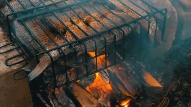 Sladkovodní rybka z kapra Karassia smažená na ohni a kouřový gril zblízka. Lahodné grilované ryby na ohni — Stock video