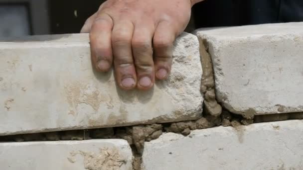 Construtor masculino que coloca tijolo branco no cimento e na parede de pé. Mãos de homem que estabelece tijolos de construção vista de perto — Vídeo de Stock