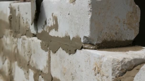 Constructor masculino colocando ladrillo blanco sobre cemento y pared de pie. Manos del hombre colocando ladrillos de construcción vista de cerca — Vídeo de stock