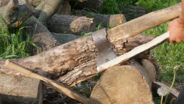 Hombre leñador cortando madera con un viejo hacha de hierro vintage. Madera cortada manual — Vídeos de Stock