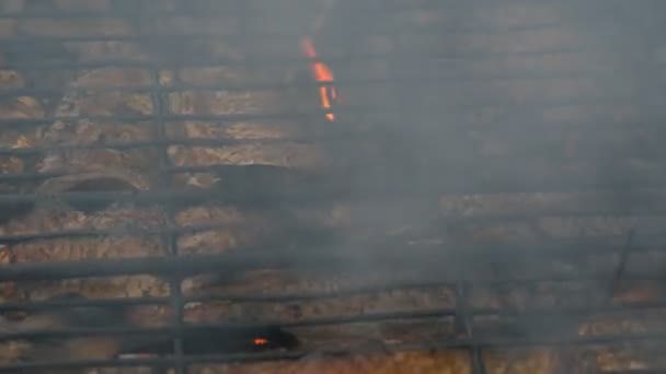 Carpa cruciana de peces de río de agua dulce Carassius frito en el fuego y humo parrilla vista de cerca. Delicioso pescado a la parrilla en el fuego — Vídeos de Stock