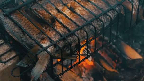 Zoetwaterrivier vis Kroes CARP Carassius gebakken op vuur en rook Grill close-up uitzicht. Heerlijke gegrilde vis op het vuur — Stockvideo