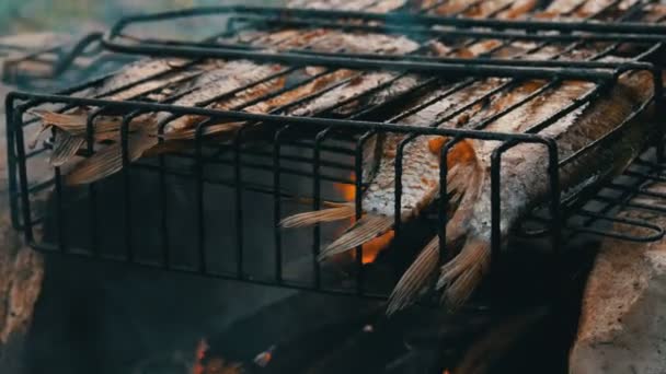 Zoetwaterrivier vis Kroes CARP Carassius gebakken op vuur en rook Grill close-up uitzicht. Heerlijke gegrilde vis op het vuur — Stockvideo