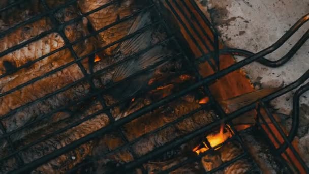 Carpa cruciana de peces de río de agua dulce Carassius frito en el fuego y humo parrilla vista de cerca. Delicioso pescado a la parrilla en el fuego — Vídeo de stock