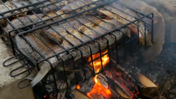 Carpa cruciana de peces de río de agua dulce Carassius frito en el fuego y humo parrilla vista de cerca. Delicioso pescado a la parrilla en el fuego — Vídeo de stock