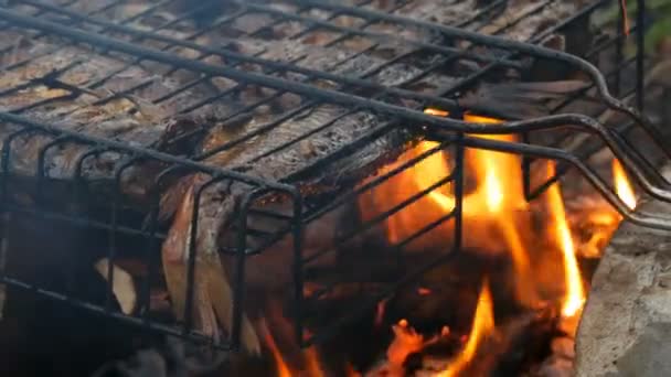 Sladkovodní rybka z kapra Karassia smažená na ohni a kouřový gril zblízka. Lahodné grilované ryby na ohni — Stock video