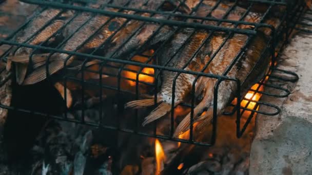 Carpa cruciana de peces de río de agua dulce Carassius frito en el fuego y humo parrilla vista de cerca. Delicioso pescado a la parrilla en el fuego — Vídeo de stock