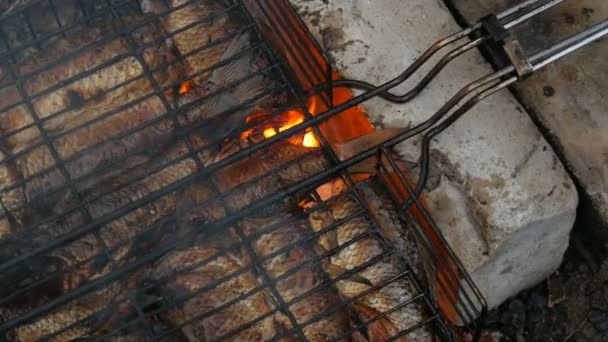 Freshwater river fish crucian carp Carassius fried on fire and smoke grill close up view. Delicious grilled fish on the fire — Stock Video