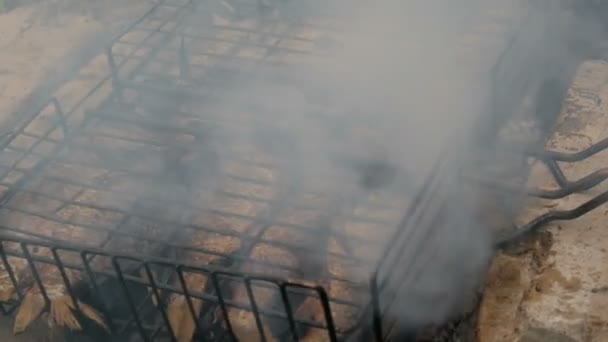 Carpa cruciana de peces de río de agua dulce Carassius frito en el fuego y humo parrilla vista de cerca. Delicioso pescado a la parrilla en el fuego — Vídeo de stock