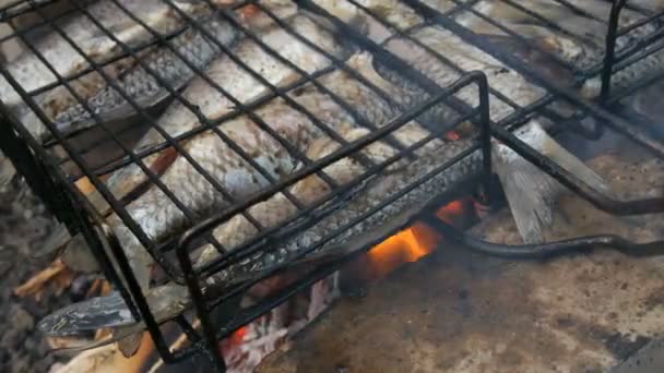 Свежая речная рыба распятый карп Carassius жареный на огне и дым гриль вблизи виду. Вкусная рыба-гриль в огне — стоковое видео