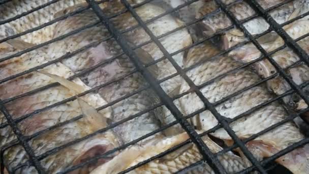 Ikan air tawar ikan ikan ikan crucian ikan carassius goreng di atas api dan asap panggangan dekat melihat. Ikan panggang yang lezat di atas api — Stok Video