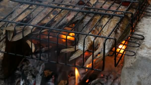 Freshwater river fish crucian carp Carassius fried on fire and smoke grill close up view. Delicious grilled fish on the fire — Stock Video