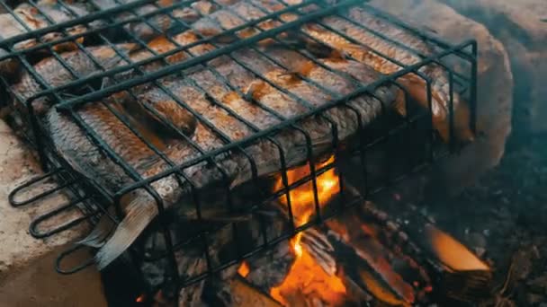 Ο Καρασιανός που τηγανίζεται με φωτιά και καπνό σε σχάρα είναι πολύ κοντά. Νόστιμα ψητά ψάρια στη φωτιά — Αρχείο Βίντεο