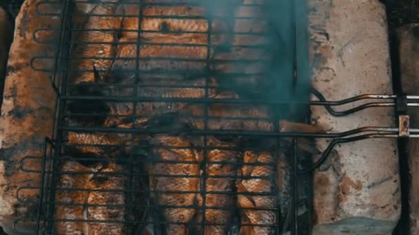 Carpe crucienne de poisson de rivière d'eau douce Carassius frit sur le feu et grill de fumée vue rapprochée. Délicieux poisson grillé sur le feu — Video