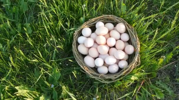 Scène pittoresque de gros œufs de poule faits maison avec un nid d'osier fait à la main sur l'herbe verte dans les rayons du soleil au printemps ou en été vue rapprochée sur le dessus . — Video