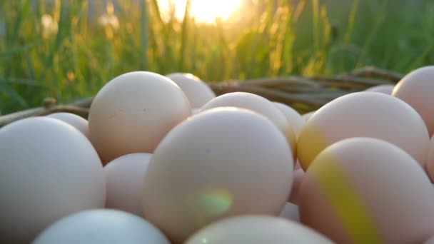 Pcturesque scène van grote zelfgemaakte kippeneieren met een handgemaakt rieten nest op het groene gras in de stralen van de zon in de lente of de zomer close-up uitzicht. — Stockvideo