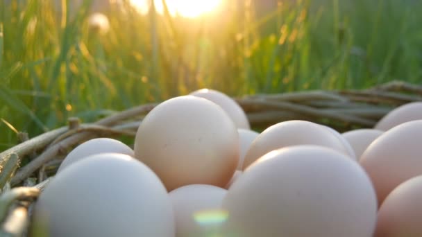 Pcturesque scène van grote zelfgemaakte kippeneieren met een handgemaakt rieten nest op het groene gras in de stralen van de zon in de lente of de zomer close-up uitzicht. — Stockvideo