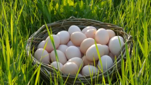 Scena punteggiata di grandi uova di pollo fatte in casa con un nido di vimini fatto a mano sull'erba verde sotto i raggi del sole in primavera o estate vista da vicino . — Video Stock