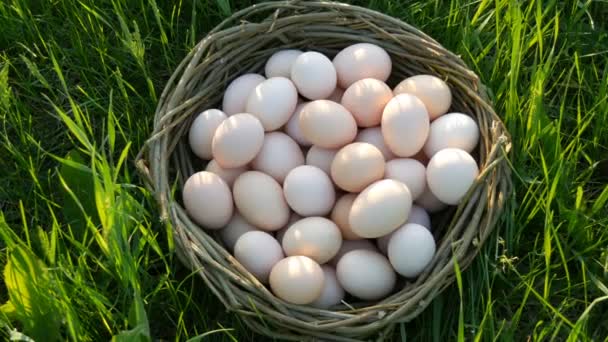 Escena pcturesca de huevos de pollo caseros grandes con un nido de mimbre hecho a mano en la hierba verde en los rayos del sol en primavera o verano de cerca vista superior . — Vídeo de stock