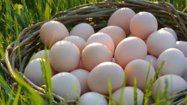 Cena pturesca de grandes ovos de galinha caseiros com um ninho de vime feito à mão na grama verde nos raios do sol na primavera ou verão vista de perto . — Vídeo de Stock