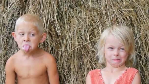 Веселі щасливі з брудними обличчями блондинка брат і сестра діти обдурюють навколо, роблять обличчя і роги один одному на тлі стайні сіна в селі зовні в літній день — стокове відео