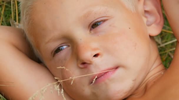 Porträt eines lustigen, gut aussehenden, fünfjährigen, blonden Jungen mit schmutzigem Gesicht, der mit den Händen hinter dem Kopf im Gras liegt und an Sommertagen im Dorf Stroh kaut — Stockvideo