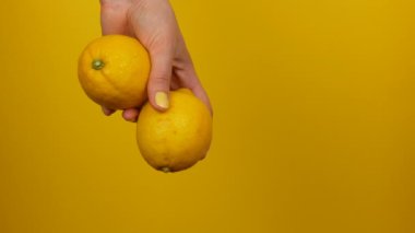 Sarı manikür ile Kadın el sarı arka plan üzerinde iki limon tutar
